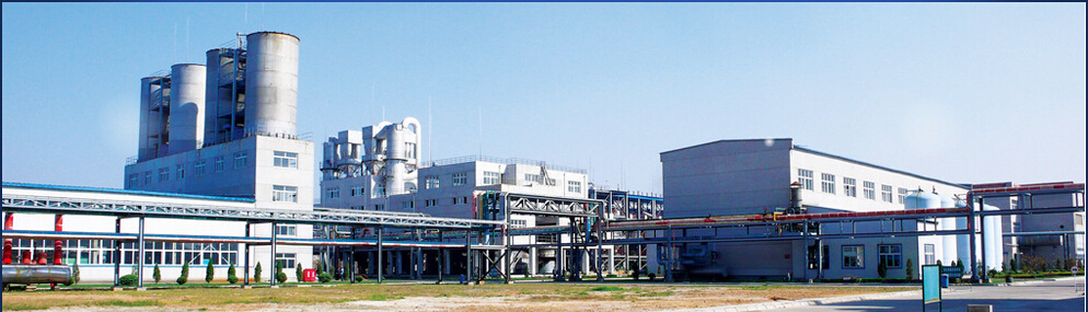 ���������a��